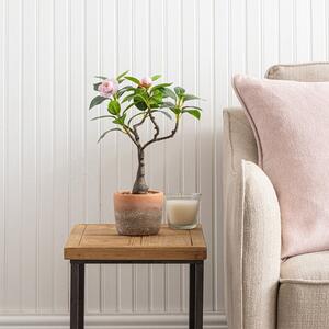 Artificial Camellia Tree in Terracotta Plant Pot