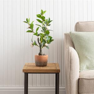 Artificial Camellia Tree in Terracotta Plant Pot