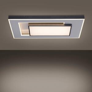 Paul Neuhaus Q-Alta LED ceiling light, 100 x 55 cm