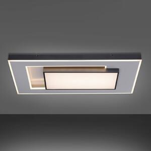Paul Neuhaus Q-Alta LED ceiling light, 100 x 55 cm