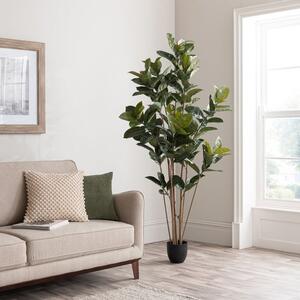 Artificial Rubber Tree in Black Plant Pot