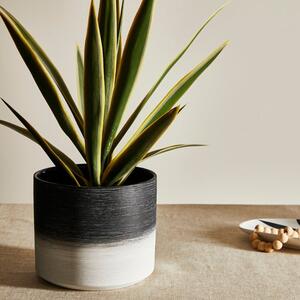 Textured Ceramic Plant Pot