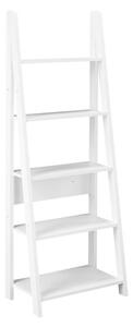 Tiva Ladder Bookcase