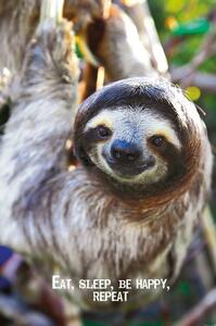 Poster Smile - Sloth, (61 x 91.5 cm)