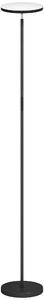 HOMCOM RGB Uplighter Floor Lamp, Tall Dimmable Standing Lamp with Remote & Touch Control, 350° Rotatable Head for Living Room Bedroom, 2700K-6000K Colour Temperatures, Black