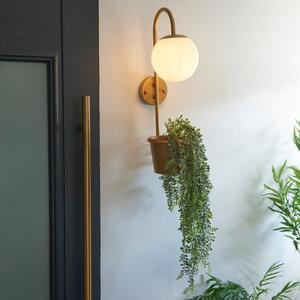 Naomi Outdoor Plant Pot Wall Light