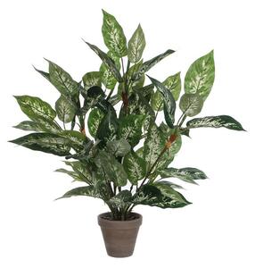 Decorative Plant Mica Decorations Dieffenbachia Dieffenbachia Green PVC (15,7 x 70 cm)