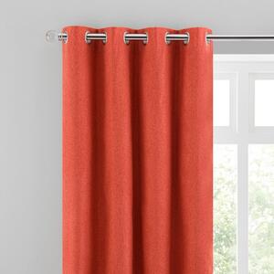 Luna Brushed Blackout Eyelet Curtains