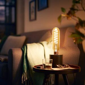 Philips E27 Giant tube LED bulb 7 W gold dimmable