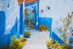 Photography Chefchaouen Blue city of Morocco, kotangens
