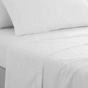 Pure Cotton Flat Sheet