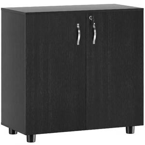 Vinsetto Black Cabinet Lockable File Cabinet with 2-Tier & Anti-Slip Feet, Storage for Office Equipment, 80 x 80 x 40cm Aosom UK