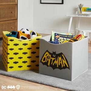 Batman Pack of 2 Storage Cubes