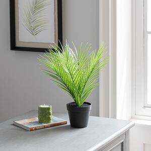 Artificial Parlour Plant in Black Plant Pot