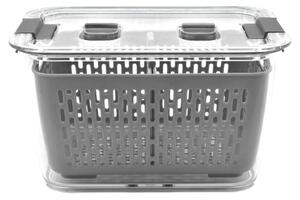Fridge Keep Fresh Storage Container