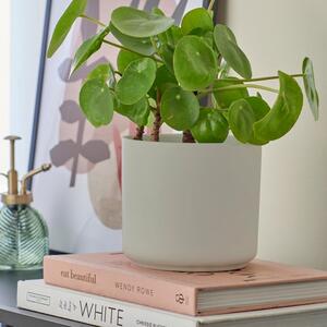 Grey Ceramic Plant Pot