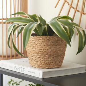 Woven Rope Plant Pot