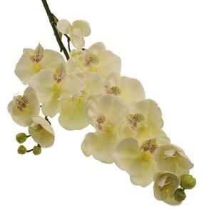 Artificial Cream Real Touch Orchid Stems