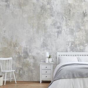 Plaster Texture Mural