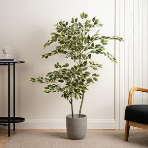 Artificial Variegated Ficus Tree in White Plant Pot