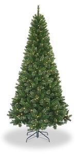 Oakland Pine Pre Lit Warm White LED 7ft Slim Christmas Tree | Roseland