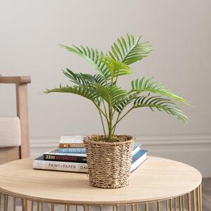 Artificial Small Palm in Woven Plant Pot