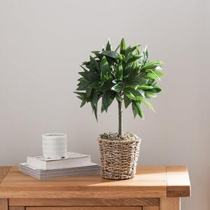 Artificial Small Bay Plant in Woven Plant Pot