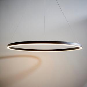 Vogue Wheeler Integrated LED Hoop Ceiling Light