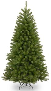 North Valley 6ft 7ft Warm White LED Spruce Christmas Tree | Roseland