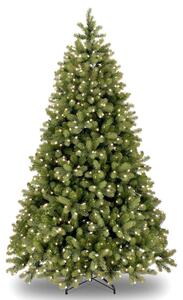 Bayberry Prelit 500 Warm White LED 6ft Christmas Tree | Roseland