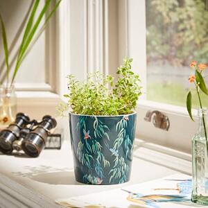 Kingfisher Ceramic Plant Pot