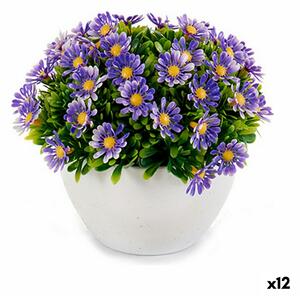 Decorative Plant Marguerite Plastic 14 x 13 x 14 cm (12 Units)