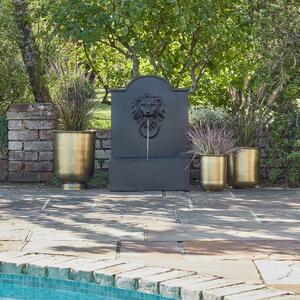 Outdoor Luxury Lion Water Feature