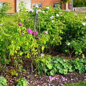 Outdoor Plant Support Tripod Climber