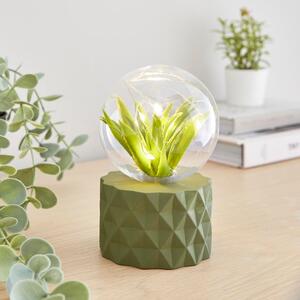 Faux Terrarium Geometric Battery Table Lamp