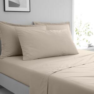 Pure Cotton Large Standard Pillowcase Pair