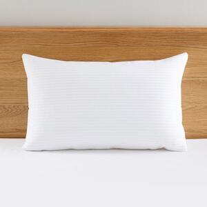 Spencer Pinsonic Pillowsham