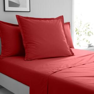 Pure Cotton Continental Square Pillowcase