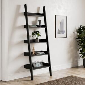 Fulton Ladder Bookcase