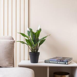 Artificial Peace Lily Plant in Black Plant Pot