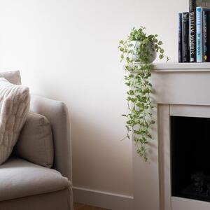 Artificial Trailing String of Hearts in Ceramic Plant Pot