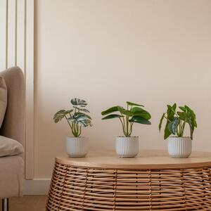 Artificial Set of 3 Plants in Ribbed Ceramic Plant Pot