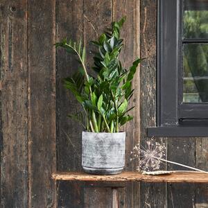 Tivoli Earth Plant Pot