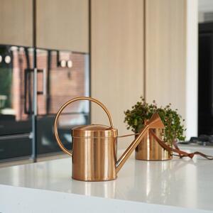 Kengsington Copper Metal Indoor Watering Can