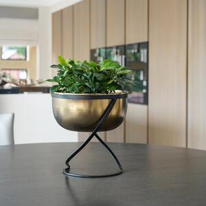 Kengsington Wide Brass Metal Round Plant Pot With Stand