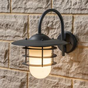 Centauri Opaque Glass Outdoor Wall Light