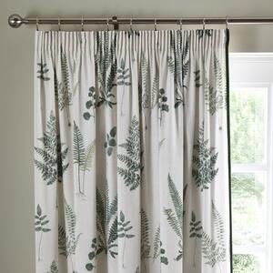 Fern Pencil Pleat Curtains