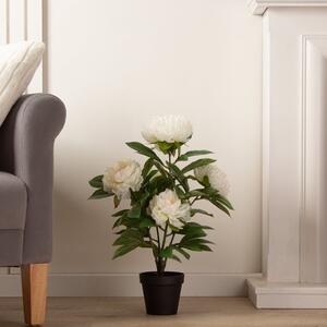 Artificial Cream Peony Plant in Black Plant Pot