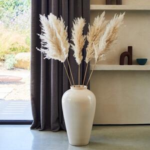 Dried Large Pampas Bouquet