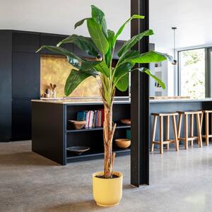 Artificial Banana Tree